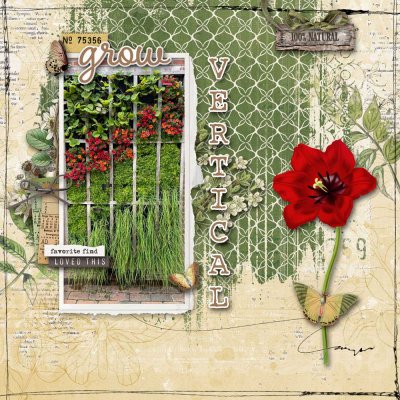 Grow Vertical