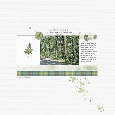 Into the Forest