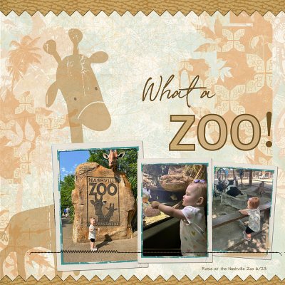 Cori Lift: What A Zoo