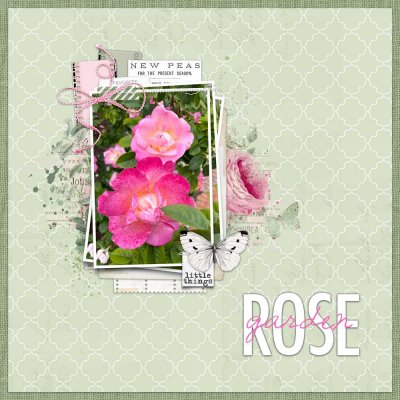 Rose Garden