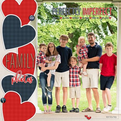 family (perfectly imperfect)