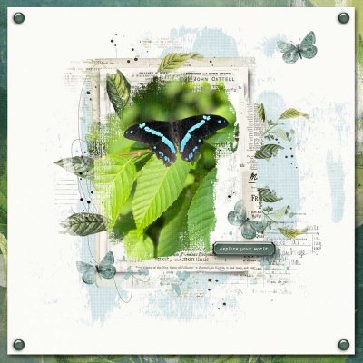 Explore Your World-Butterfly