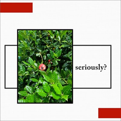 2023 08 09 AD_seriously!!
