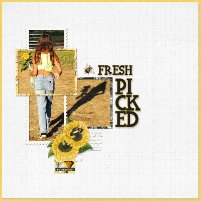 Fresh Picked Sunflowers Reesa -2021