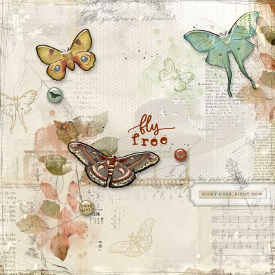 Fly Free