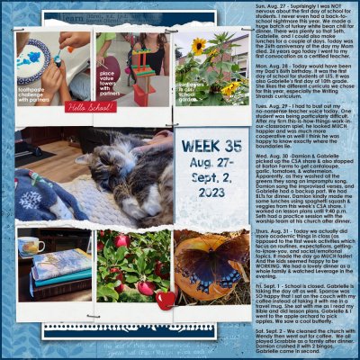 Week 35 2023