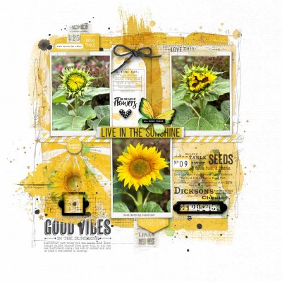 Good Vibes Sunflower