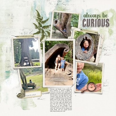 Always Be Curious.jpeg
