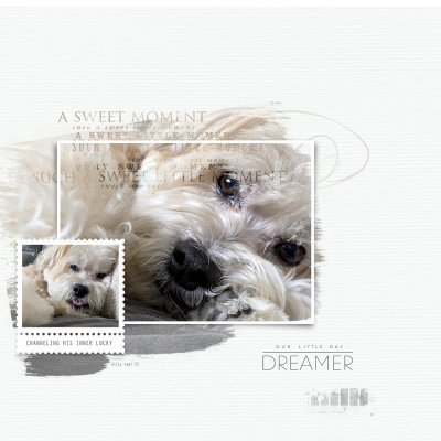 day dreamer