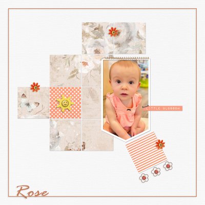 Little Blossom - Rose 6-23