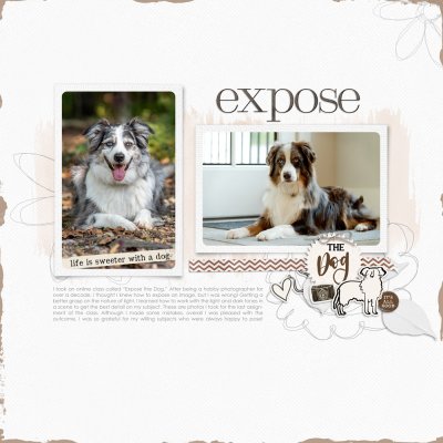 Expose the Dog