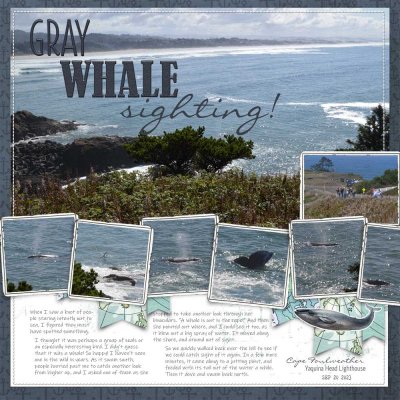 2023-09-20 Gray whale sighting (Story challenge)