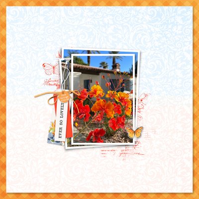 Lovely - Palm Springs