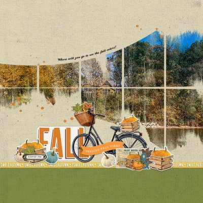 Feeling Fall Vibes