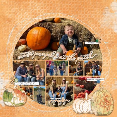 Cutest Pumpkin at the Patch