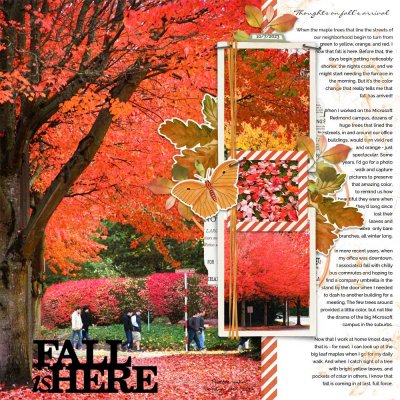 2013-10-30 Fall color on campus