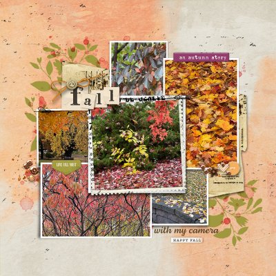 Capturing Fall