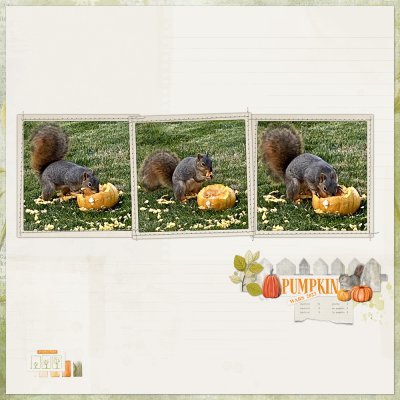 pumpkin wars