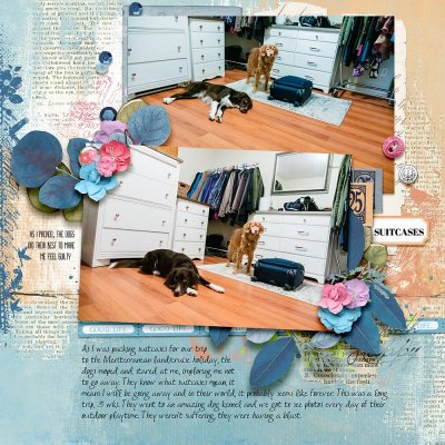 Story Scrapbook Challenge 11/13