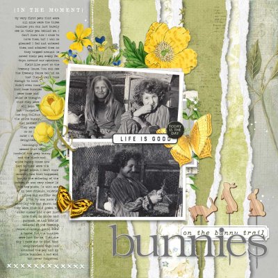 1970 Bunnies