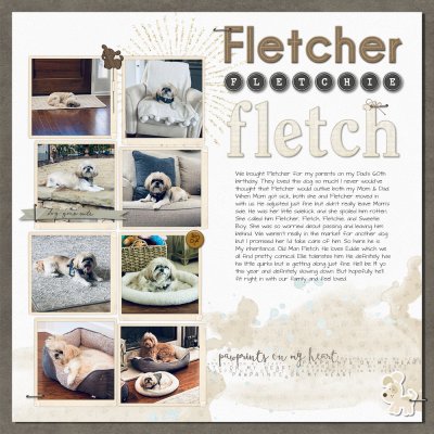 Story Challenge - Fletcher