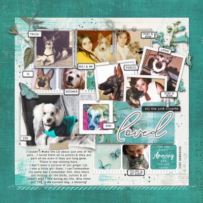All my dogs & cats