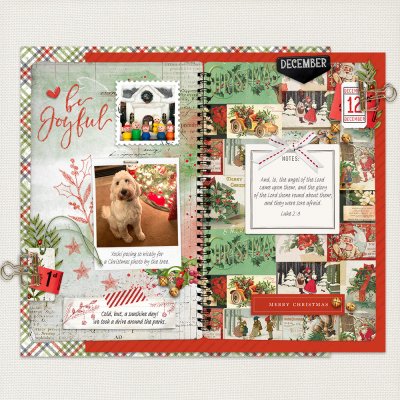 December Notebook-12
