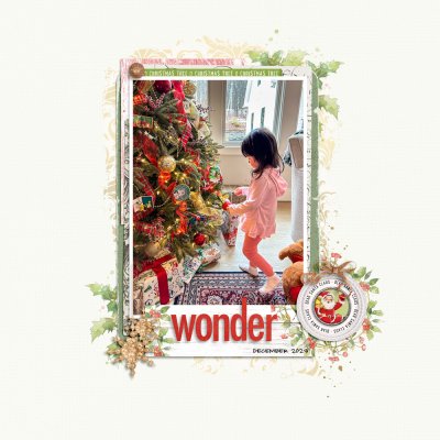 Wonder: iTunes Challenge