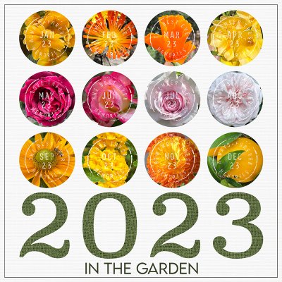 2023 In The Garden