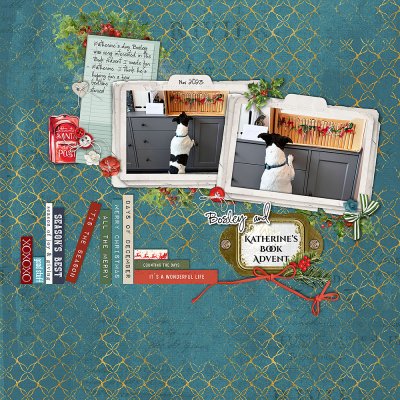 Book Advent