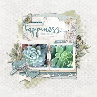 Succulents 01/24