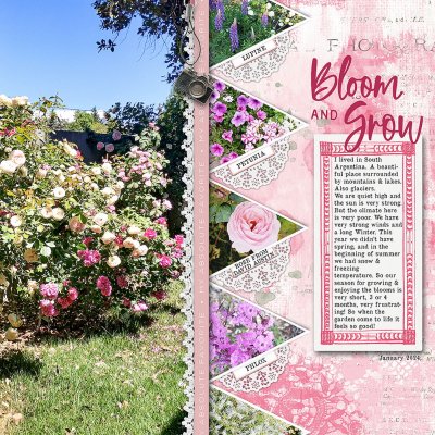 Bloom & Grow WEB1000.jpg