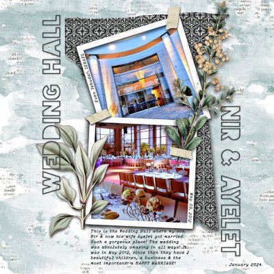 Alma Wedding Hall WEB1.jpg