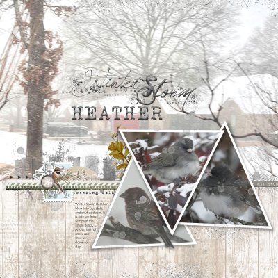Winter Storm Heather