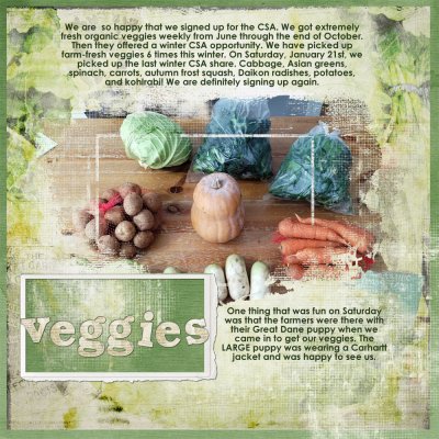 Winter CSA Share 30MM