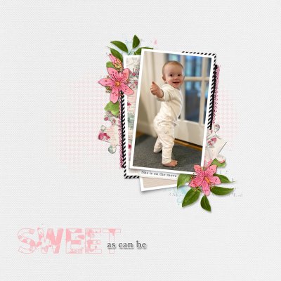 Sweet as can be - Rose on the move 2023