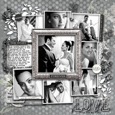 Feel the love WEB1.jpg