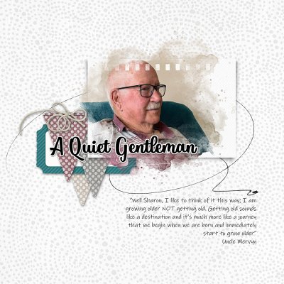 SSL - A Quiet Gentleman