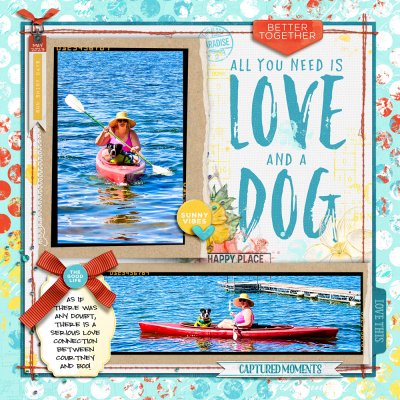 Must Love Dogs
