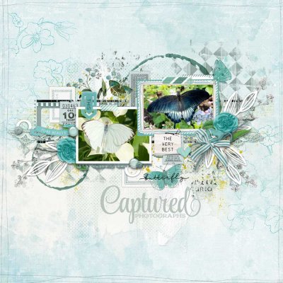 Captured Photographs