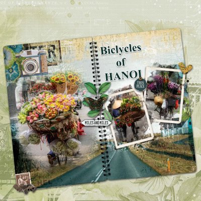 03-2024 Bicycles of Hanoi