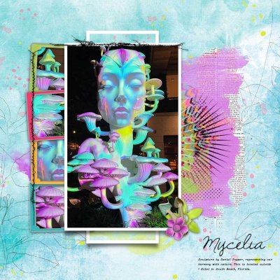 Mycelia-SSL-3-9