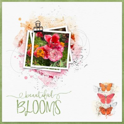 Color Challenge-Beautiful Blooms