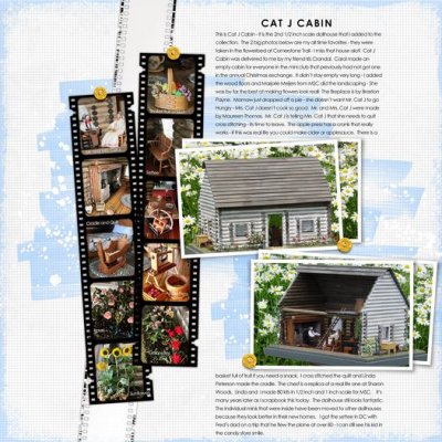 SSL Cat J Cabin