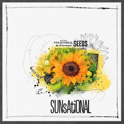 Sunsational