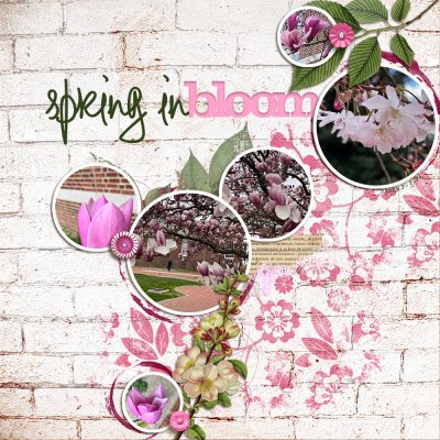 Ad Challenge - Spring Paint Palette - March 20