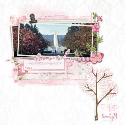2024-03-19 UW cherry blossoms and Rainier