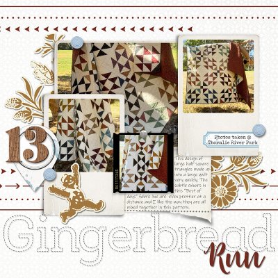 No.13 Gingerbread Run