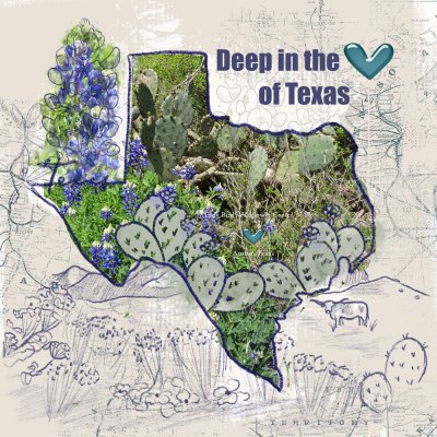Texas Cacti and Bluebonnets