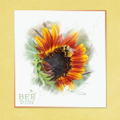 sunflower-bee-blend.jpg